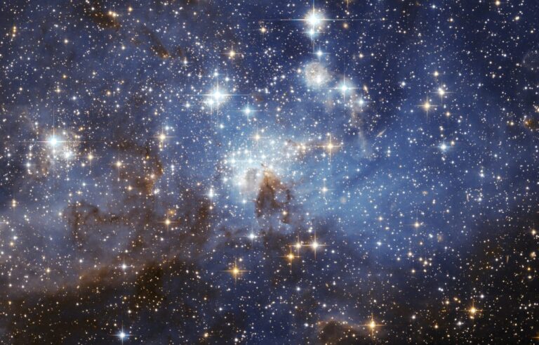 The universe